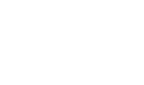 Lisa Lauri Communications